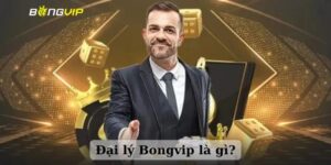 Đại lý Bongvip - Cơ hội kiếm thêm thu nhập khủng tại đây