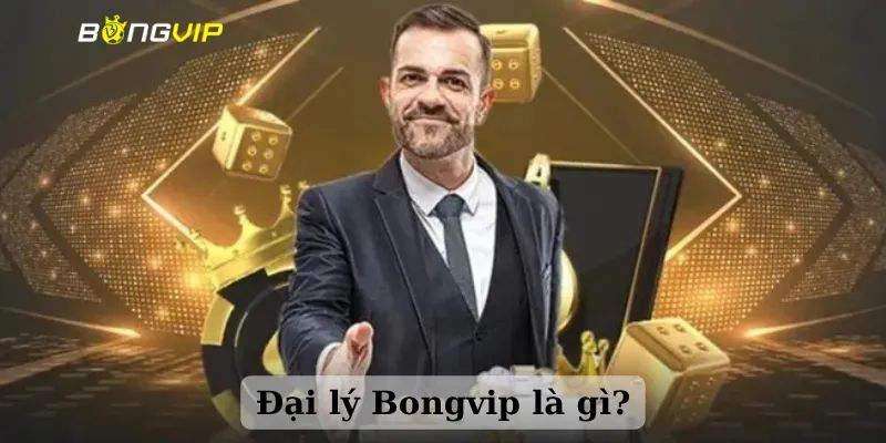 Đại lý Bongvip - Cơ hội kiếm thêm thu nhập khủng tại đây