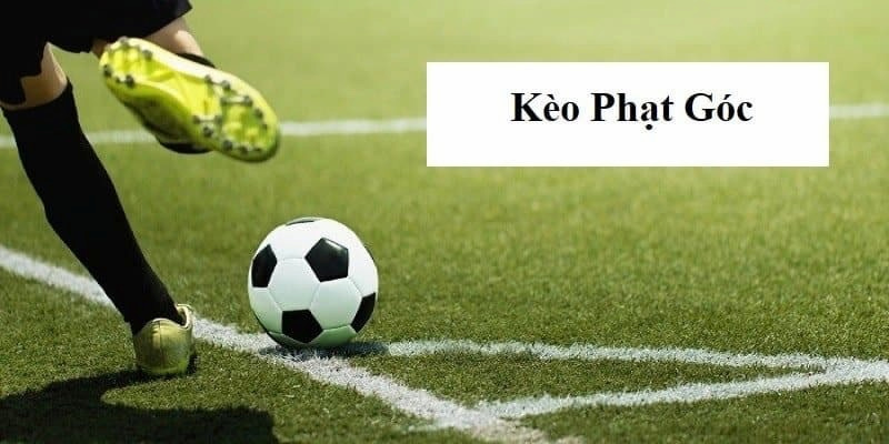 Kèo Phạt Góc Bongvip